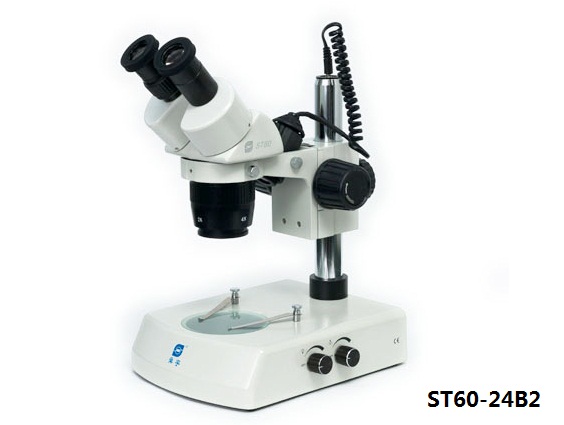 ST60-24B2体视显微镜